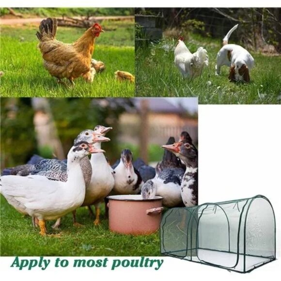 Portable Chicken Run Hen Coop, Outdoor Gardening Net, Small Animals Enclosure - Picture 5 of 6